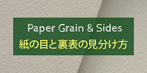 紙の目と裏表の見分け方