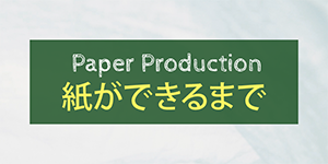 紙ができるまで